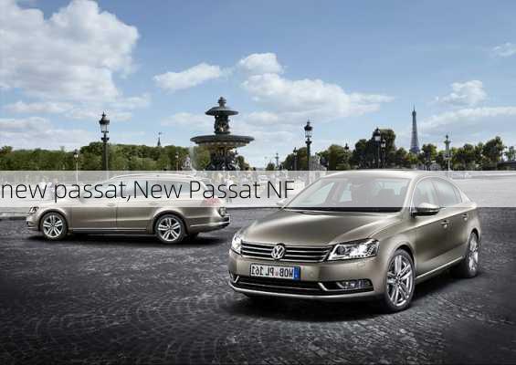 new passat,New Passat NF-第2张图片-立方汽车网