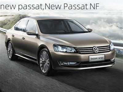 new passat,New Passat NF