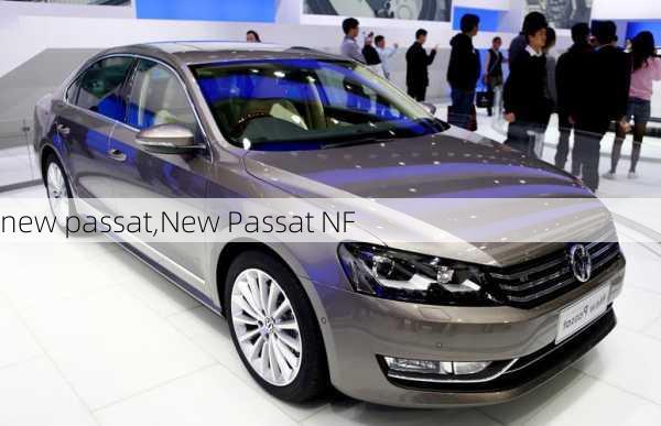 new passat,New Passat NF-第3张图片-立方汽车网