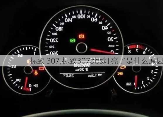 标致 307,标致307abs灯亮了是什么原因-第2张图片-立方汽车网