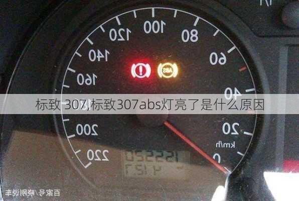 标致 307,标致307abs灯亮了是什么原因-第3张图片-立方汽车网