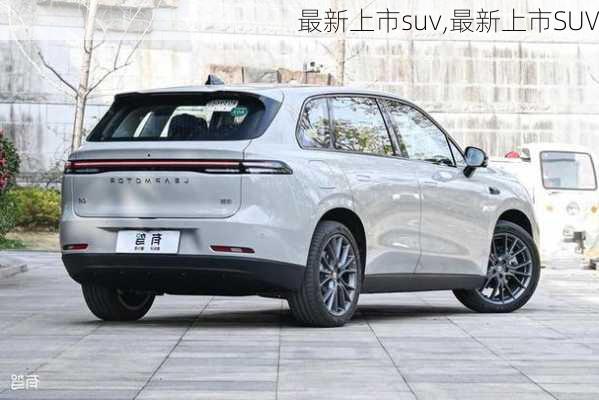 最新上市suv,最新上市SUV-第3张图片-立方汽车网