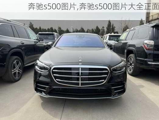 奔驰s500图片,奔驰s500图片大全正面-第3张图片-立方汽车网