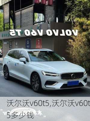 沃尔沃v60t5,沃尔沃v60t5多少钱-第1张图片-立方汽车网