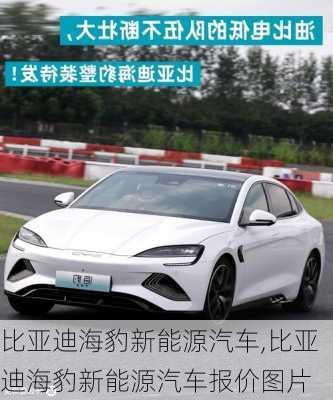 比亚迪海豹新能源汽车,比亚迪海豹新能源汽车报价图片-第1张图片-立方汽车网