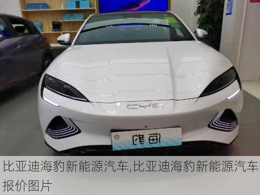 比亚迪海豹新能源汽车,比亚迪海豹新能源汽车报价图片-第2张图片-立方汽车网