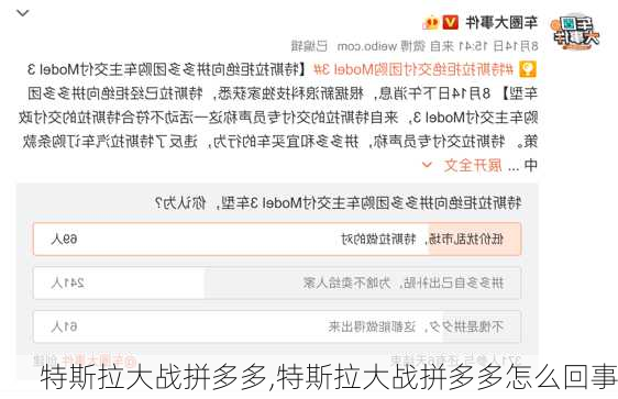 特斯拉大战拼多多,特斯拉大战拼多多怎么回事-第2张图片-立方汽车网