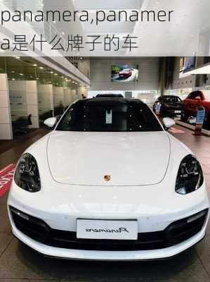 panamera,panamera是什么牌子的车-第3张图片-立方汽车网