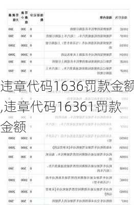 违章代码1636罚款金额,违章代码16361罚款金额-第2张图片-立方汽车网