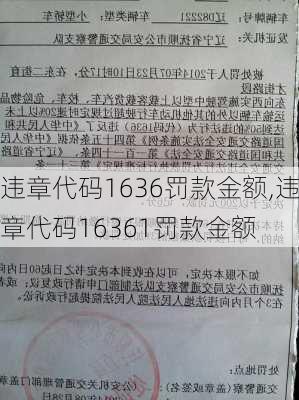 违章代码1636罚款金额,违章代码16361罚款金额-第1张图片-立方汽车网