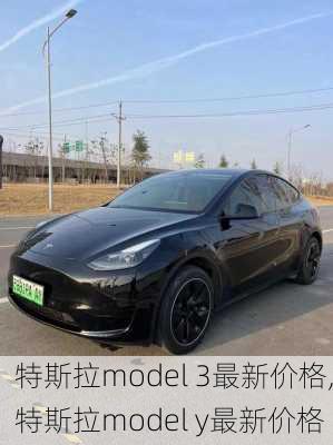 特斯拉model 3最新价格,特斯拉model y最新价格-第1张图片-立方汽车网