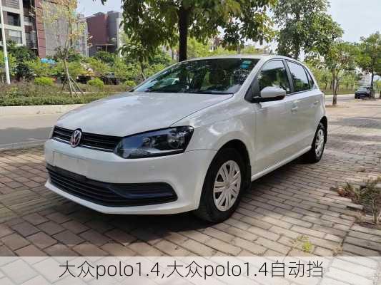 大众polo1.4,大众polo1.4自动挡-第1张图片-立方汽车网