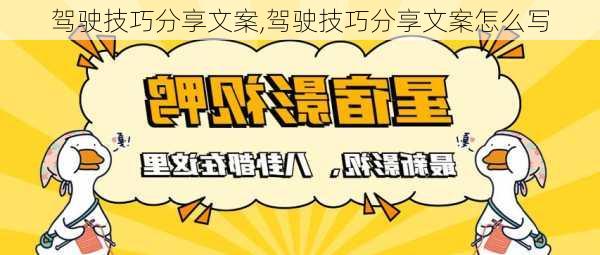 驾驶技巧分享文案,驾驶技巧分享文案怎么写-第2张图片-立方汽车网