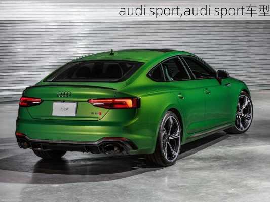 audi sport,audi sport车型-第3张图片-立方汽车网