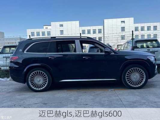 迈巴赫gls,迈巴赫gls600-第3张图片-立方汽车网