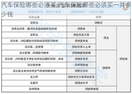 汽车保险哪些必须买,汽车保险哪些必须买一共多少钱-第2张图片-立方汽车网