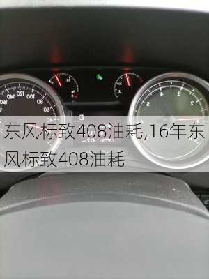 东风标致408油耗,16年东风标致408油耗-第2张图片-立方汽车网