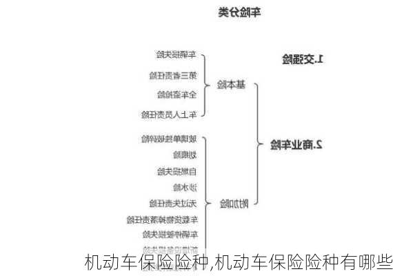 机动车保险险种,机动车保险险种有哪些-第2张图片-立方汽车网