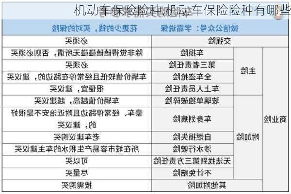 机动车保险险种,机动车保险险种有哪些-第1张图片-立方汽车网