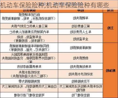 机动车保险险种,机动车保险险种有哪些-第3张图片-立方汽车网