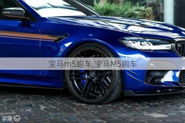 宝马m5跑车,宝马M5跑车-第3张图片-立方汽车网