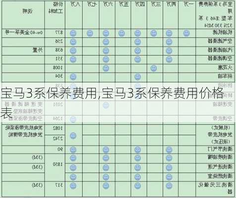 宝马3系保养费用,宝马3系保养费用价格表-第1张图片-立方汽车网