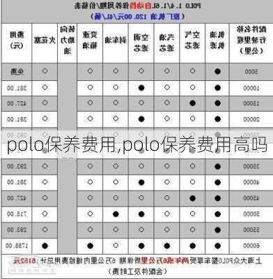 polo保养费用,polo保养费用高吗-第1张图片-立方汽车网