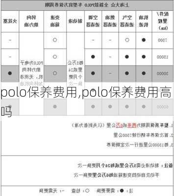 polo保养费用,polo保养费用高吗-第3张图片-立方汽车网