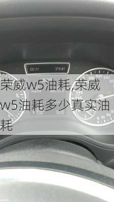 荣威w5油耗,荣威w5油耗多少真实油耗-第1张图片-立方汽车网