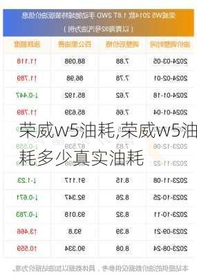 荣威w5油耗,荣威w5油耗多少真实油耗-第3张图片-立方汽车网