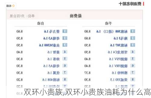 双环小贵族,双环小贵族油耗为什么高-第1张图片-立方汽车网