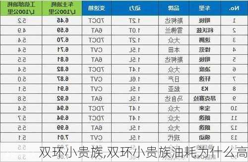 双环小贵族,双环小贵族油耗为什么高-第2张图片-立方汽车网