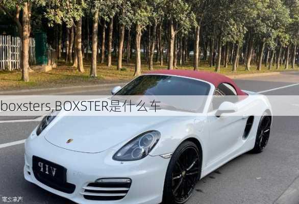 boxsters,BOXSTER是什么车-第1张图片-立方汽车网