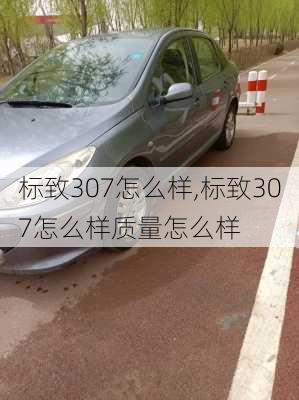 标致307怎么样,标致307怎么样质量怎么样-第1张图片-立方汽车网