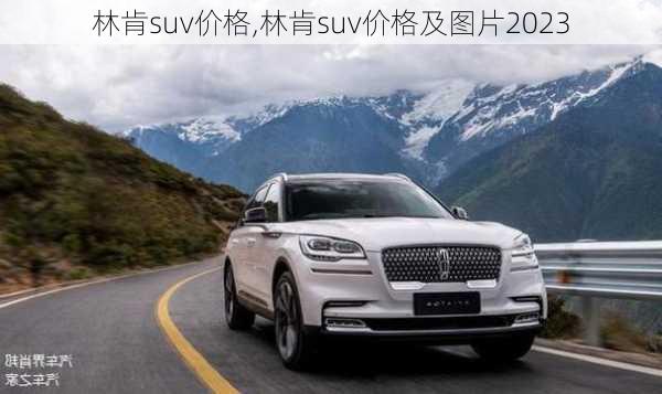 林肯suv价格,林肯suv价格及图片2023-第3张图片-立方汽车网