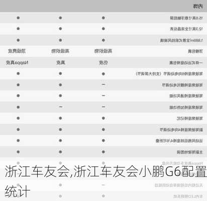 浙江车友会,浙江车友会小鹏G6配置统计-第2张图片-立方汽车网