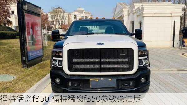 福特猛禽f350,福特猛禽f350参数柴油版-第2张图片-立方汽车网