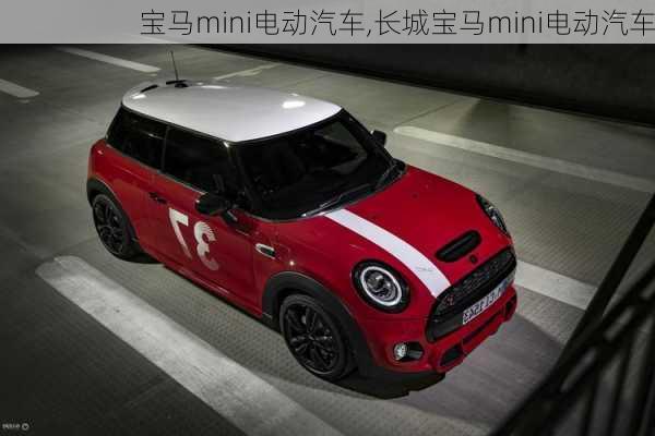 宝马mini电动汽车,长城宝马mini电动汽车-第3张图片-立方汽车网