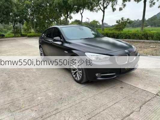 bmw550i,bmw550i多少钱-第3张图片-立方汽车网