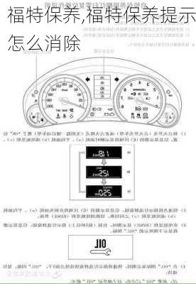 福特保养,福特保养提示怎么消除-第2张图片-立方汽车网