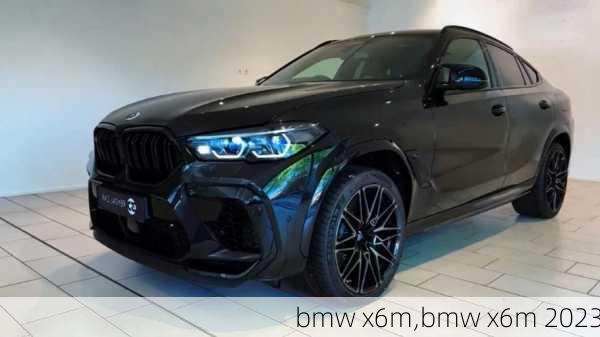 bmw x6m,bmw x6m 2023-第2张图片-立方汽车网