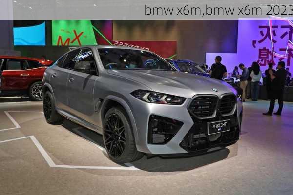 bmw x6m,bmw x6m 2023-第1张图片-立方汽车网