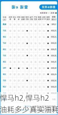 悍马h2,悍马h2油耗多少真实油耗