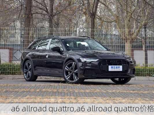 a6 allroad quattro,a6 allroad quattro价格-第3张图片-立方汽车网