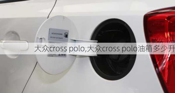 大众cross polo,大众cross polo油箱多少升-第1张图片-立方汽车网