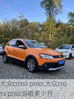 大众cross polo,大众cross polo油箱多少升-第2张图片-立方汽车网