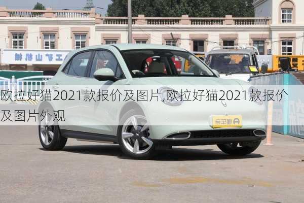 欧拉好猫2021款报价及图片,欧拉好猫2021款报价及图片外观-第3张图片-立方汽车网