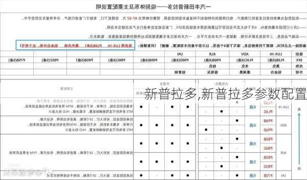 新普拉多,新普拉多参数配置-第1张图片-立方汽车网