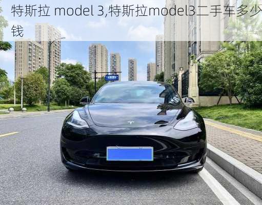 特斯拉 model 3,特斯拉model3二手车多少钱-第1张图片-立方汽车网