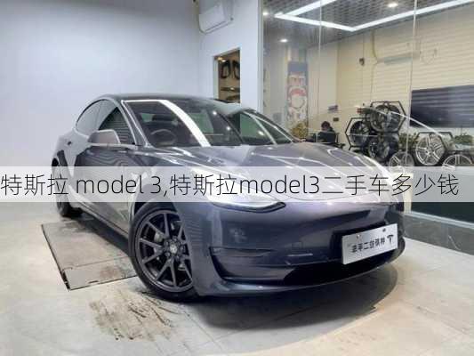 特斯拉 model 3,特斯拉model3二手车多少钱-第2张图片-立方汽车网